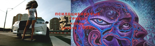 скорость Богданович