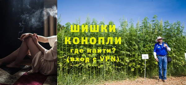 ПСИЛОЦИБИНОВЫЕ ГРИБЫ Богородск