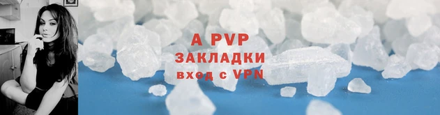 ПСИЛОЦИБИНОВЫЕ ГРИБЫ Богородск