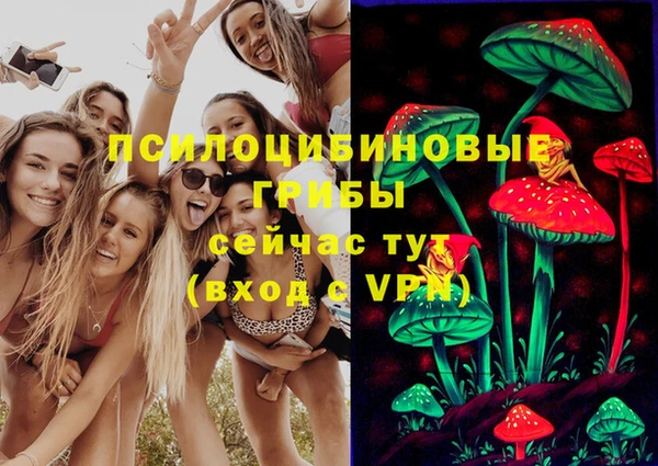 скорость Богданович