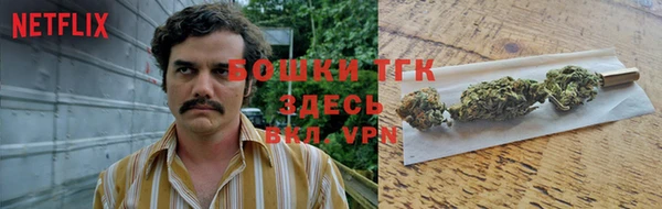 ПСИЛОЦИБИНОВЫЕ ГРИБЫ Богородск