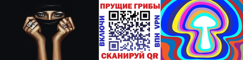 наркошоп  Тольятти  Псилоцибиновые грибы мицелий 